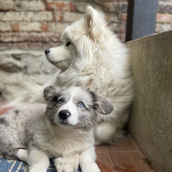 Meet your Posher, Hannah - Picture 1 of 1